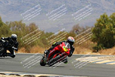 media/May-15-2022-SoCal Trackdays (Sun) [[33a09aef31]]/Turn 7 (1145am)/